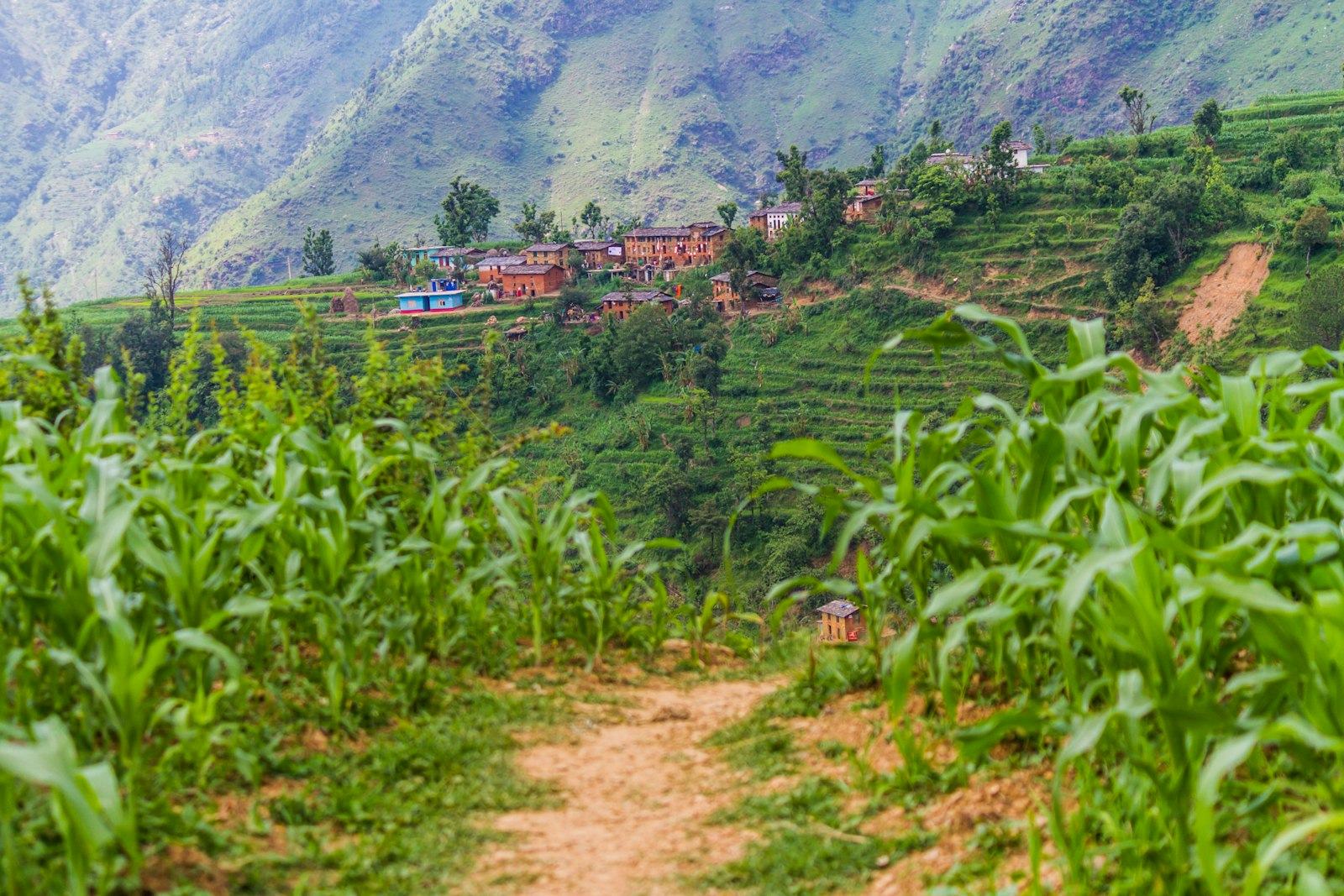 Nagarkot Village Tour III (Makaibari & Sathikuriya)