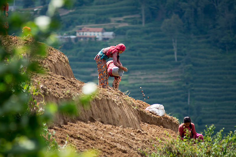 Tamang Village Trail